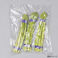 福助工業 ハイデンポリ袋 透明ポリティッシュBOX 20-30 00734110 1ケース(15個(1個×15)（直送品）