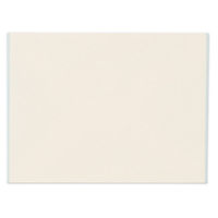 エヌビー社 TKこふみ箋封筒 ビジネス 5304920 1セット(1袋(6枚:2色×各3枚)×15)（直送品）