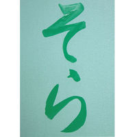 呉竹 水でお習字半紙 3枚(黒・緑・赤×各1枚) KN37-10 1セット(1袋 ×3)