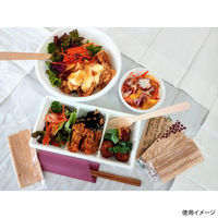 九州紙工 使い捨てスプーン ウッドスプーン16cm紙完封 WS-001 1ケース(3000個(100個×30)（直送品）