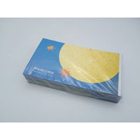 九州紙工 マスクケース秋つき MC-13 1ケース(2000個(200個×10)（直送品）