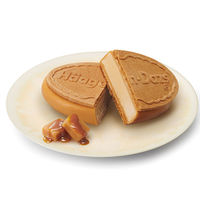 [アイス]ハーゲンダッツジャパン クリスピーサンド キャラメル 60ml×6個 4976994150839 1セット(6個)（直送品）