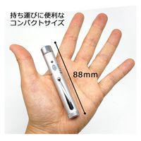 POLARIS 赤色レーザーポインター EM-16S 1台（直送品）