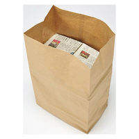 クラフトマン 特大紙製ゴミ袋 3枚入 HKT-058 1パック（直送品）