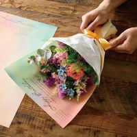 ヘッズ ブーケラッピング耐水ペーパー-5(30枚) BWP-D5 1セット(5パック×30枚)（直送品）