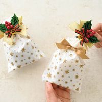 ヘッズ クリスマスフルリールクリップ付/リボン-5(20個) ZX-CL5 1セット(3パック×20個)（直送品）