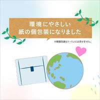 エリス新素肌感 羽つき20枚×4P 21000316 1パック