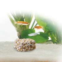 ベスト バイオブロック メダカ用 バクテリア 国産 水槽 水換え 掃除 1個 ジェックス