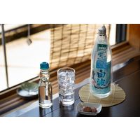 MUGEN 白波 The Splash Wave 25度 900ml 1本 芋焼酎 薩摩酒造