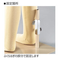 ストア・エキスプレス 子供フレキシブルマネキン 身長100cm 8003-1297 1台 61-186-3-3（直送品）