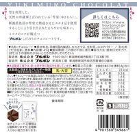 チョコレート バレンタイン ホワイトデー 個包装　お配り菓子 雪室ショコラ　まろみミルク 45g 1セット（1個×3）