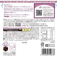 チョコレート バレンタイン ホワイトデー 個包装　お配り菓子 雪室ショコラ　熟成カカオ73 45g 1セット（1個×6）
