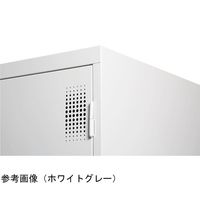 アズワン TLKスタンダードロッカー シリンダー錠 ブラック 4人用 65-9622-96 1台（直送品）