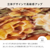 【玄関渡し】 萩原 アドリア BR 200x300 HCカバー ブラウン 200×300cm（直送品）