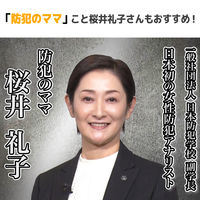 ELPA 窓ピタッアラーム 衝撃検知4P ASA-S11-N4P（W） 1個