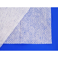 【口腔ケアウェットシート】 イワツキ ケアシー 007-70210 1パック（50枚入）