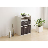 アイリスオーヤマ 棚 本棚 カラーボックス 2段 収納ボックス 幅415×奥行290×高さ595mm オフホワイト CX-2