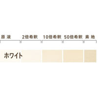 和信化学工業 Aqurex ポアーステイン ホワイト 0.9kg 54115 1本（直送品）