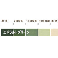 和信化学工業 Aqurex ポアーステイン エメラルドグリーン 0.9kg 54106 1本（直送品）