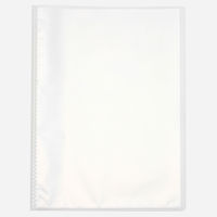 無印良品 ポリプロピレン携帯に便利なスリムクリアホルダー A4・20ポケット 1セット（1冊×2） 良品計画