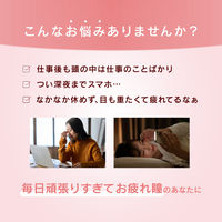 【EC限定販売】ロートひとやすめ 20本入 ロート製薬 目薬 使い切り 防腐剤無添加 コンタクト対応【第3類医薬品】