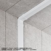 サンワサプライ 配線ダクト(60×40×1000mm・ホワイト) CA-KK60W 1個（直送品）