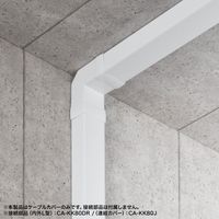 サンワサプライ 配線ダクト(80×60×1000mm・ホワイト) CA-KK80W 1個（直送品）