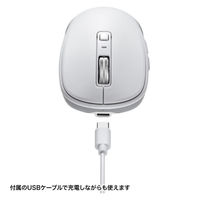 サンワサプライ 静音ワイヤレスブルーLEDマウス(充電式・5ボタン) MA-WBS520W 1個
