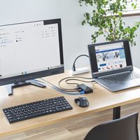 サンワサプライ USB Type-C ドッキングステーション USB-DKM7BK 1個（直送品）