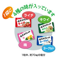 塩分商材 塩分補給 おやつ 塩天タブレット Qu 4種アソート 500g 約220粒入 1セット(1個×6)　つくし工房