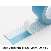 【並行輸入品】ニチバン 製本テープ（再生紙） ロールタイプ 幅25mm×10m パステルグリーン BK-2531 1巻