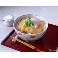 【業務用】うどんスープ 48袋 1個 ヒガシマル醤油 大容量 特大