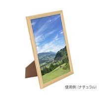 ハクバ写真産業 ピクスリア A4サイズ ブラック FWPX-BKA4 1パック 62-9766-67（直送品）