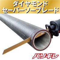 モトユキ 鋳鉄管用ダイヤモンドセーバーソーブレード GSS-D-250 1セット(2本)（直送品）