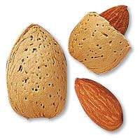 生活の木 スイートアーモンドオイル 1000mL 12-401-6010 1本（直送品）