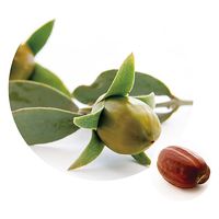 生活の木 ホホバオイル・クリア 1000mL 12-401-6040 1本（直送品）