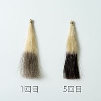 生活の木 ヘアカラートリートメント ナチュラルブラック 200g 14-845-5060 1本（直送品）