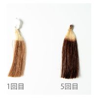 生活の木 ヘアカラートリートメント ダークブラウン 200g 14-845-5020 1本（直送品）