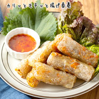 ライスペーパー 100g（直径15.5cm 約20枚入り） 1袋 ユウキ食品 生春巻き エスニック