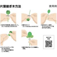 アズワン エンジェルクリップ 1000個入 65-2494-72 1袋(1000個)（直送品）