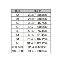 ジャパンアート のりパネ(5mm厚) B2サイズ 61-235-8-5 1セット(10枚) 61-7250-83（直送品）