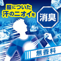 白元アース アイスノン 爆冷スプレー 無香料 330mL 1本
