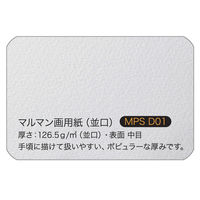 マルマン スケッチブック B4 図案シリーズ 並口 30冊入 S120