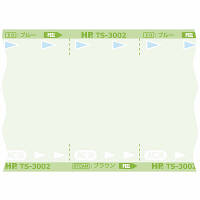 滅菌バッグロールタイプ TS-3006 310mm×100m 日油技研工業