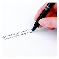 フリクション替芯(単色用) 0.5mm レッド 赤 LFBKRF30EF3R 30本入 パイロット