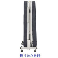 アイリスオーヤマ　折りたたみベッド　低反発タイプ　ブラック　OTB-TR　1台　（直送品）