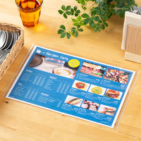 コクヨ カードケース(薄型タイプ)A4 クケ-3034 1袋(10枚入)