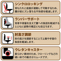 イトーキ サリダチェア（Salida） オフィスチェア メッシュ張り 可動肘付 ブラック YL5-BL 1脚（2梱包）事務椅子 脚幅615mm