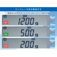 エー・アンド・デイ エーアンドデイ A&D パーソナル電子天びん EK6000i ≪ひょう量:6000g 最少表示:1g≫ 1台