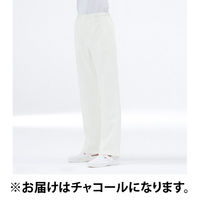 ナガイレーベン カ】LHー6203 チャコール M LH-6203 1着　白衣